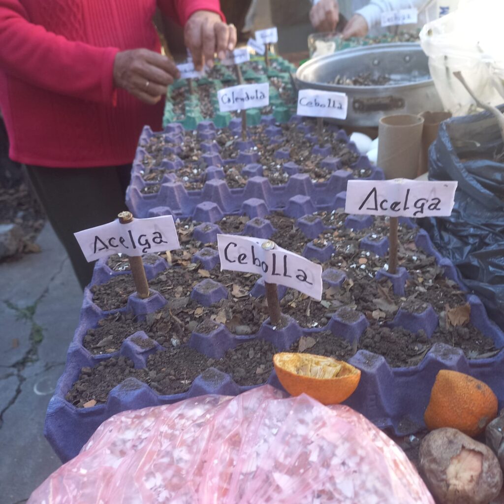 Participación Popular en San Salvador de Jujuy
